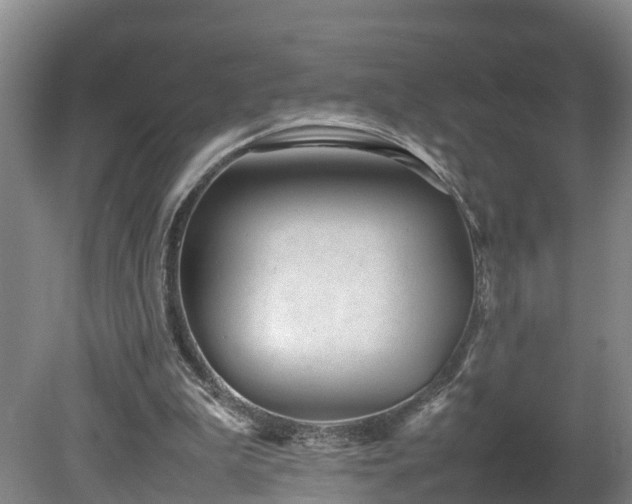 X0000080120199200612151721
