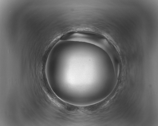 X0000080120201200612151721