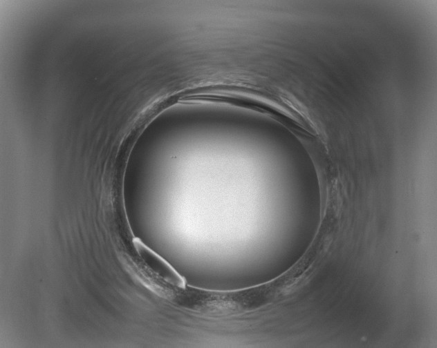 X0000080120203200612151721