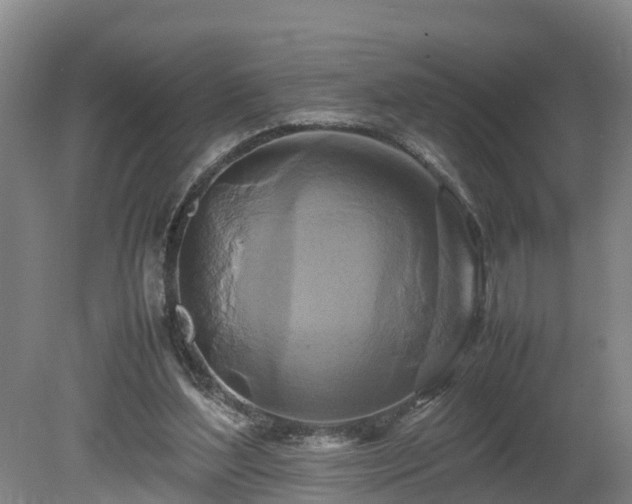 X0000080120204200612151721