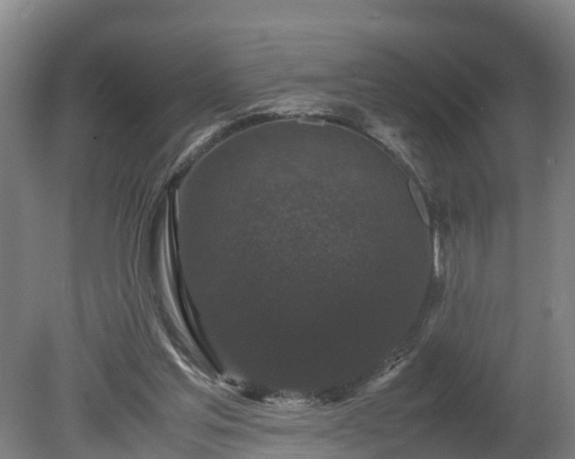 X0000080120205200612151721