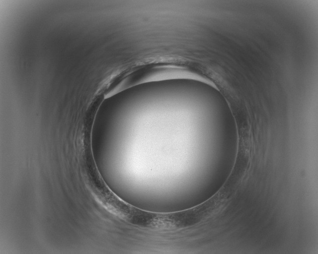 X0000080120207200612151721