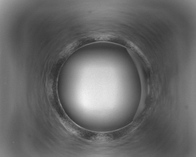 X0000080120209200612151721