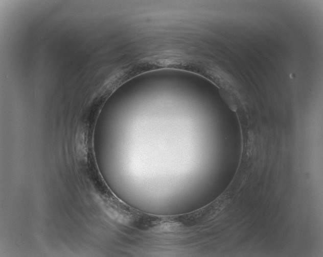 X0000080120210200612151721