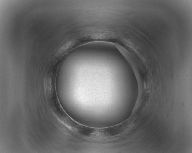 X0000080120211200612151721