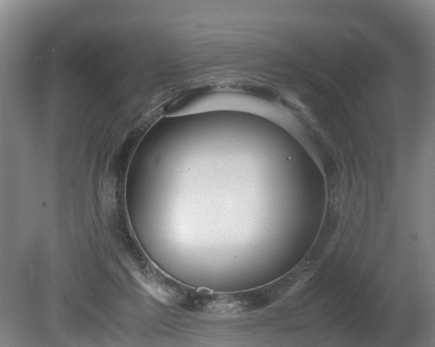 X0000080120213200612151721