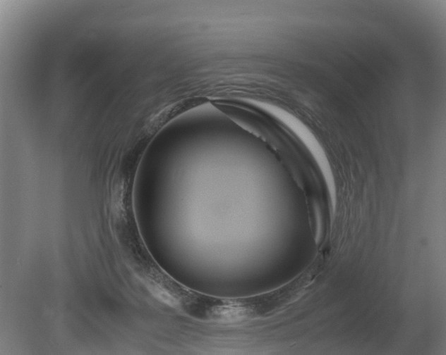 X0000080120219200612151721