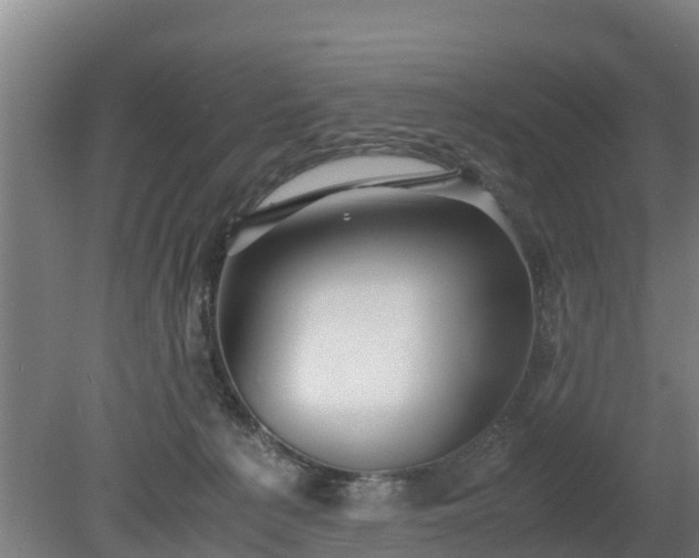 X0000080120225200612151721
