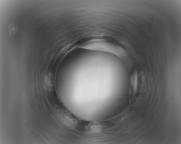 X0000080120228200612151721