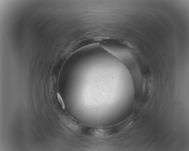 X0000080120229200612151721