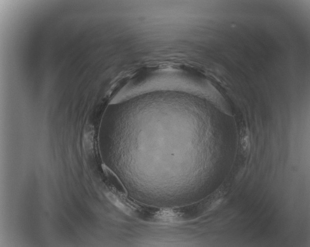 X0000080120231200612151721