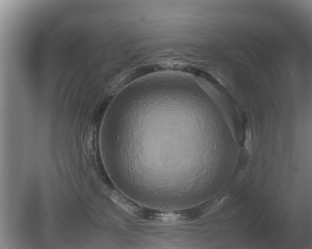 X0000080120233200612151721