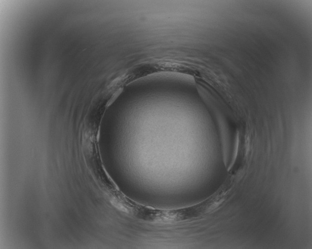 X0000080120235200612151721