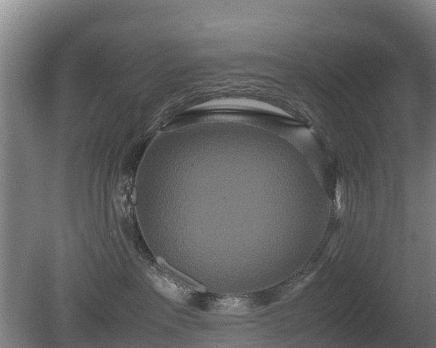 X0000080120237200612151721