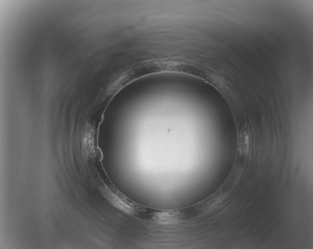 X0000080120238200612151721