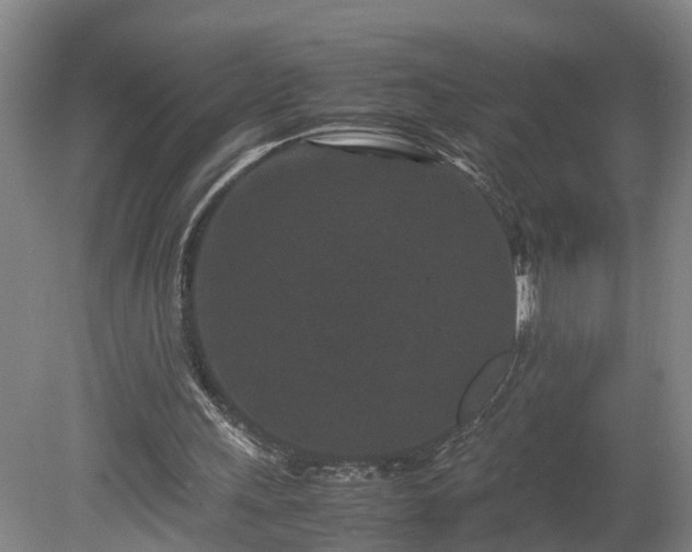 X0000080120243200612151720
