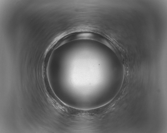 X0000080120244200612151720