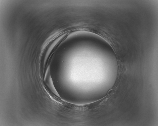 X0000080120245200612151720