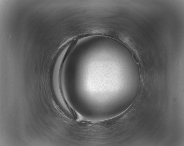 X0000080120249200612151720