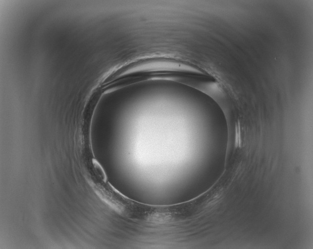 X0000080120252200612151720