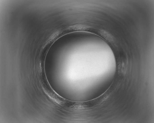 X0000080120254200612151720