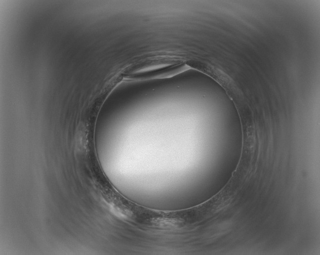 X0000080120255200612151720