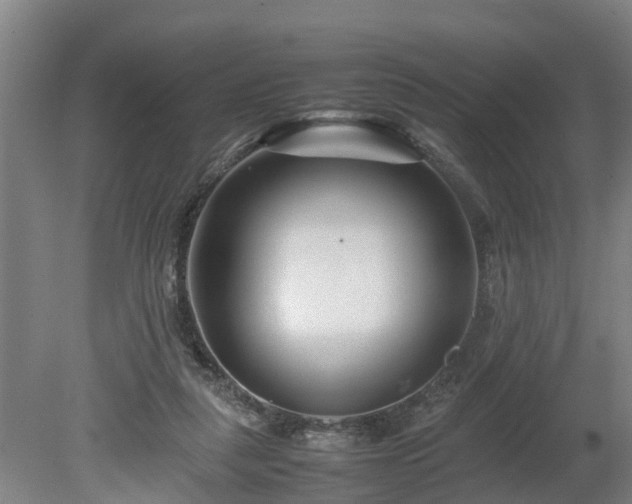X0000080120259200612151720