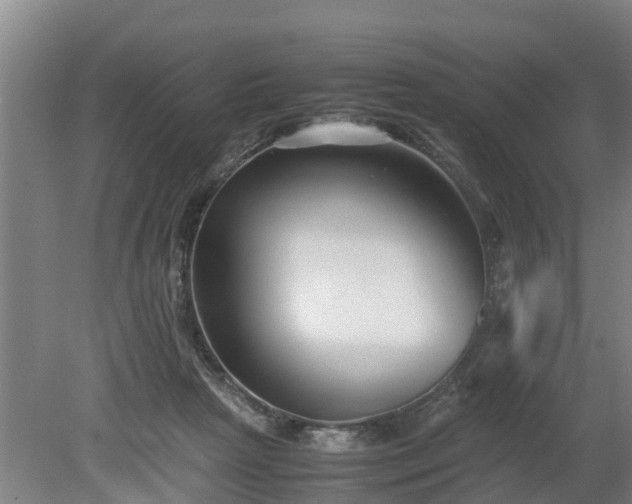X0000080120265200612151720