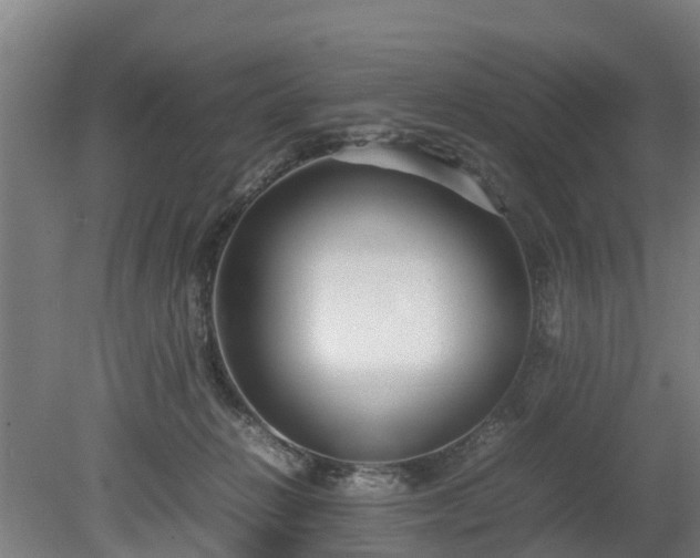 X0000080120270200612151720