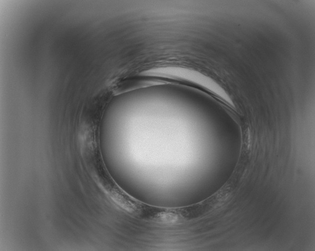 X0000080120272200612151720