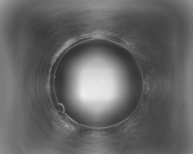 X0000080120292200612151720