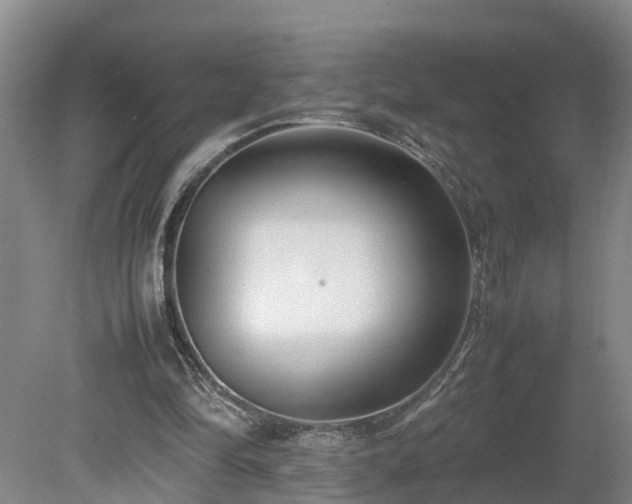 X0000080120294200612151720