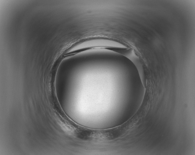 X0000080120299200612151720