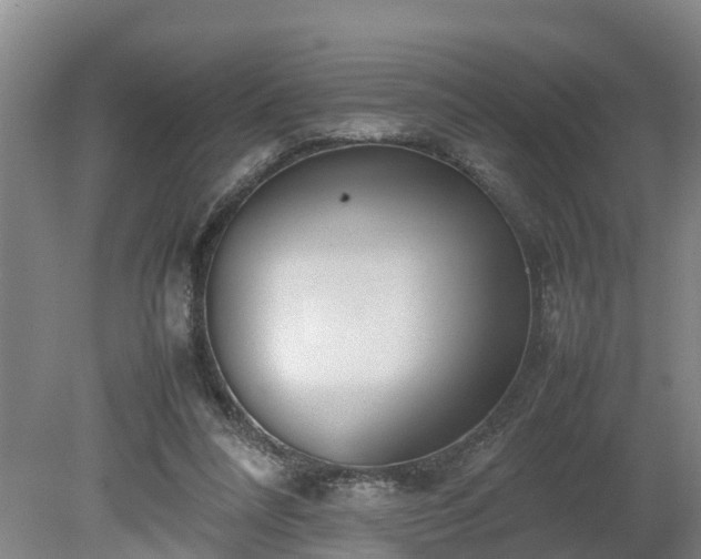 X0000080120304200612151719