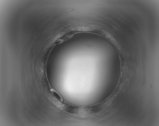 X0000080120305200612151719