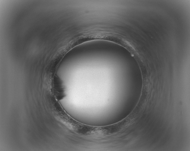X0000080120307200612151719