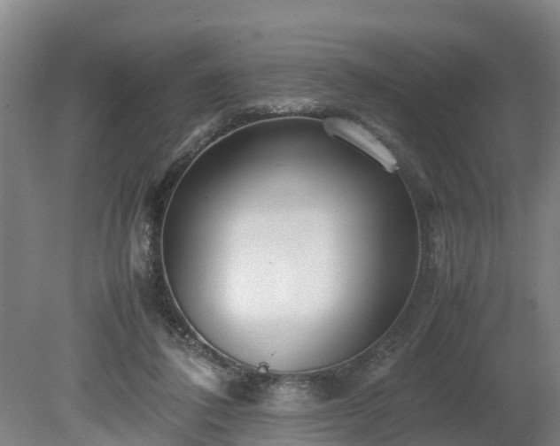 X0000080120308200612151719
