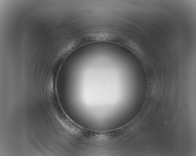 X0000080120310200612151719