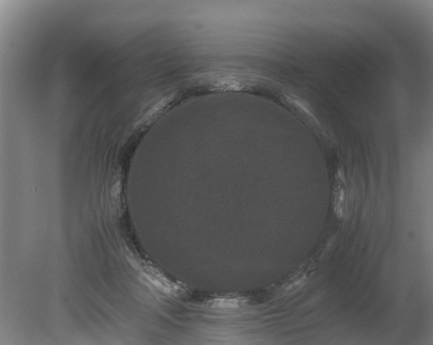 X0000080120314200612151719