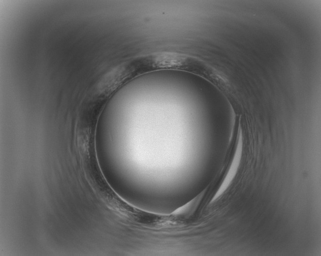 X0000080120315200612151719