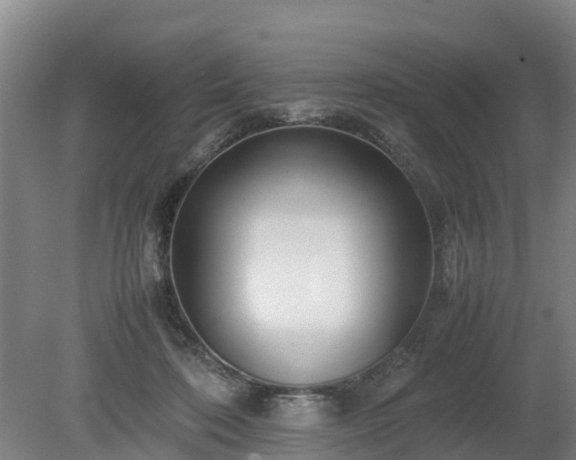 X0000080120316200612151719