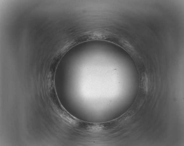 X0000080120318200612151719