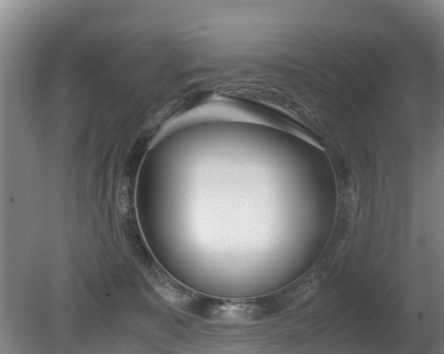 X0000080120323200612151719