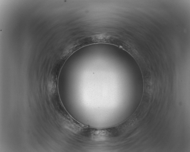 X0000080120324200612151719