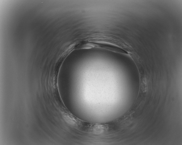 X0000080120330200612151719
