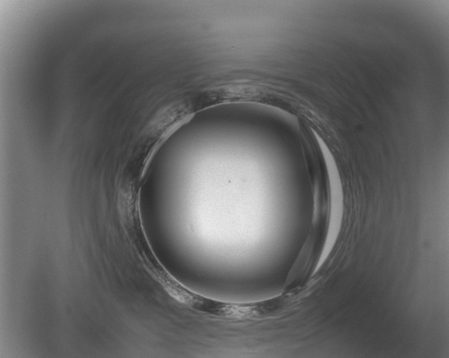 X0000080120333200612151719