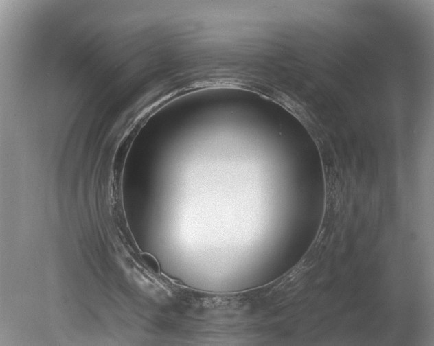 X0000080120338200612151718