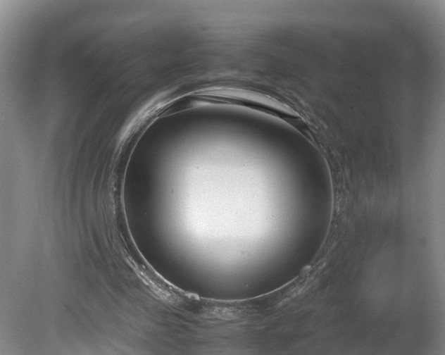 X0000080120341200612151718