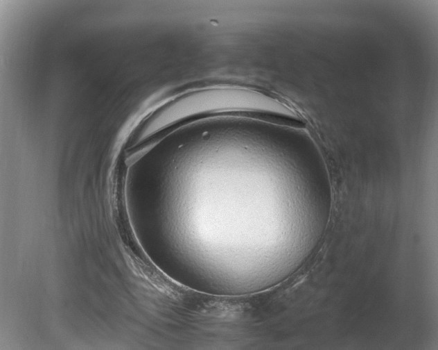 X0000080120343200612151718