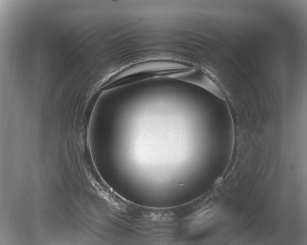X0000080120345200612151718